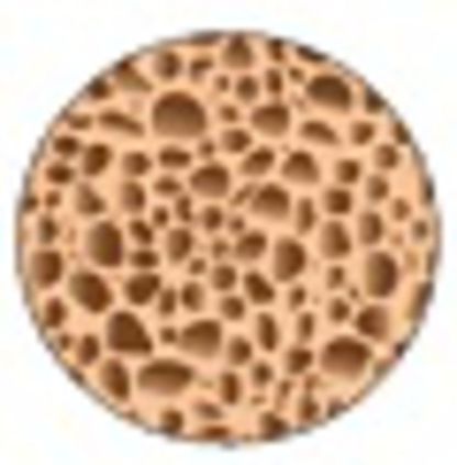 20 октября - Всемирный день профилактики остеопороза 