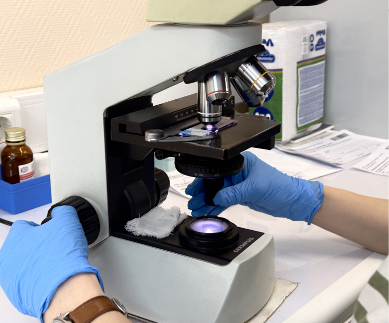 Мазок на онкоцитологию шейки матки