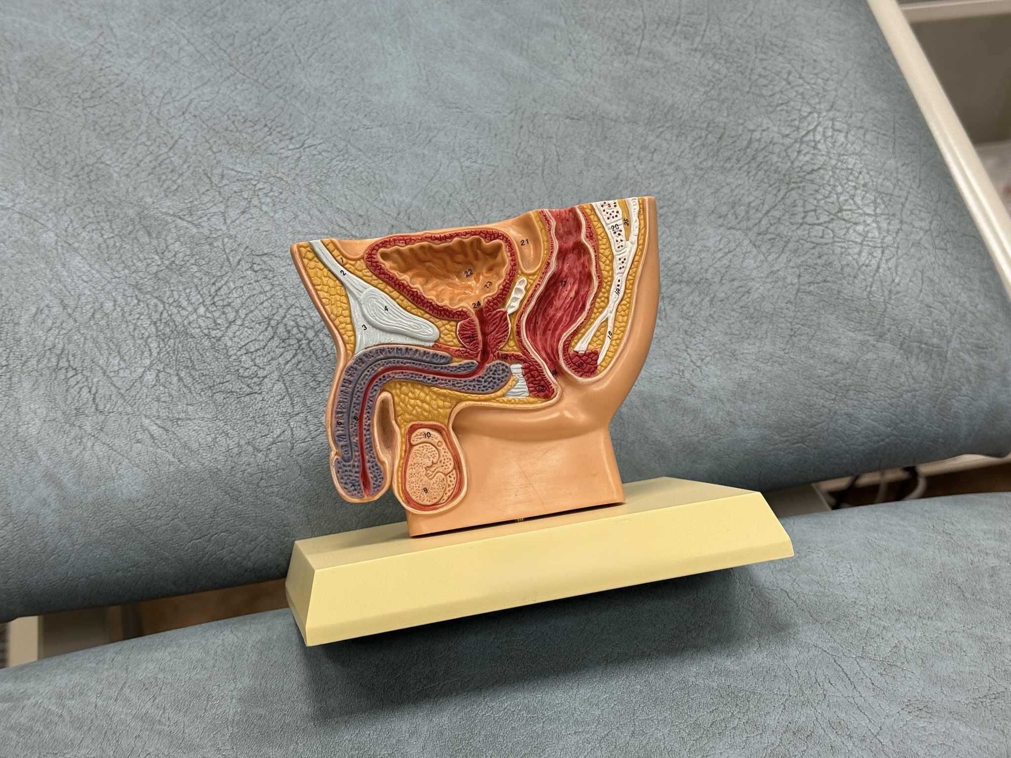 Мужская интимная контурная пластика