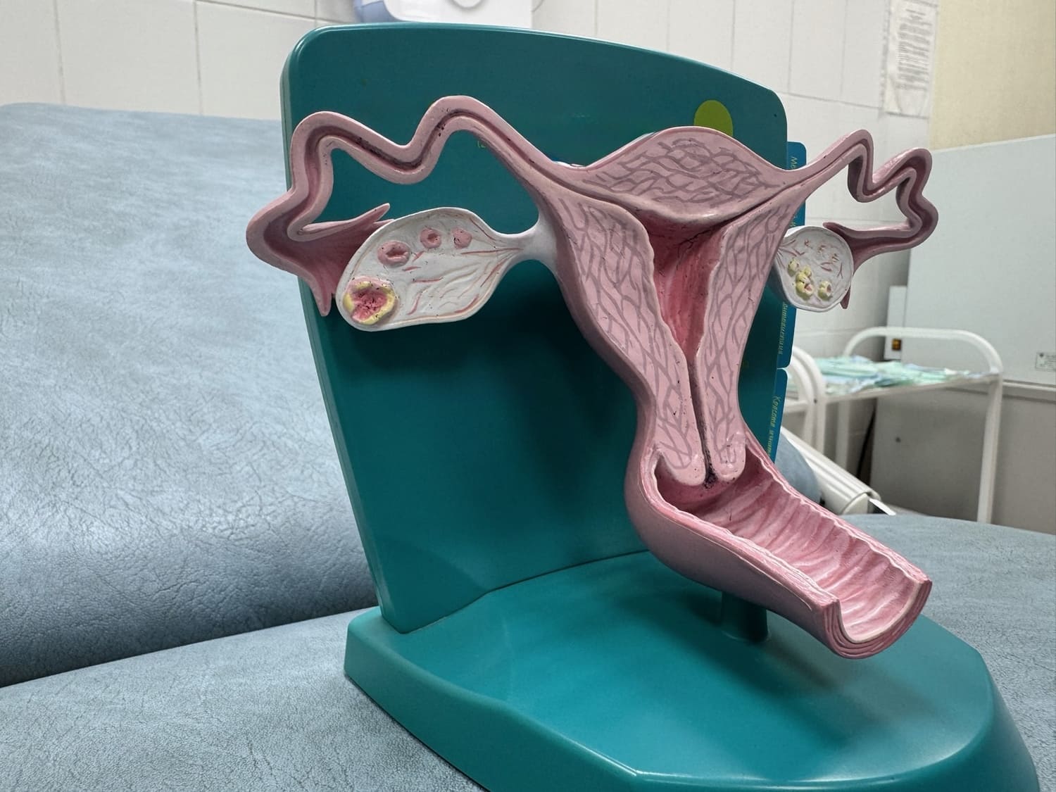 Программа «Свой гинеколог»