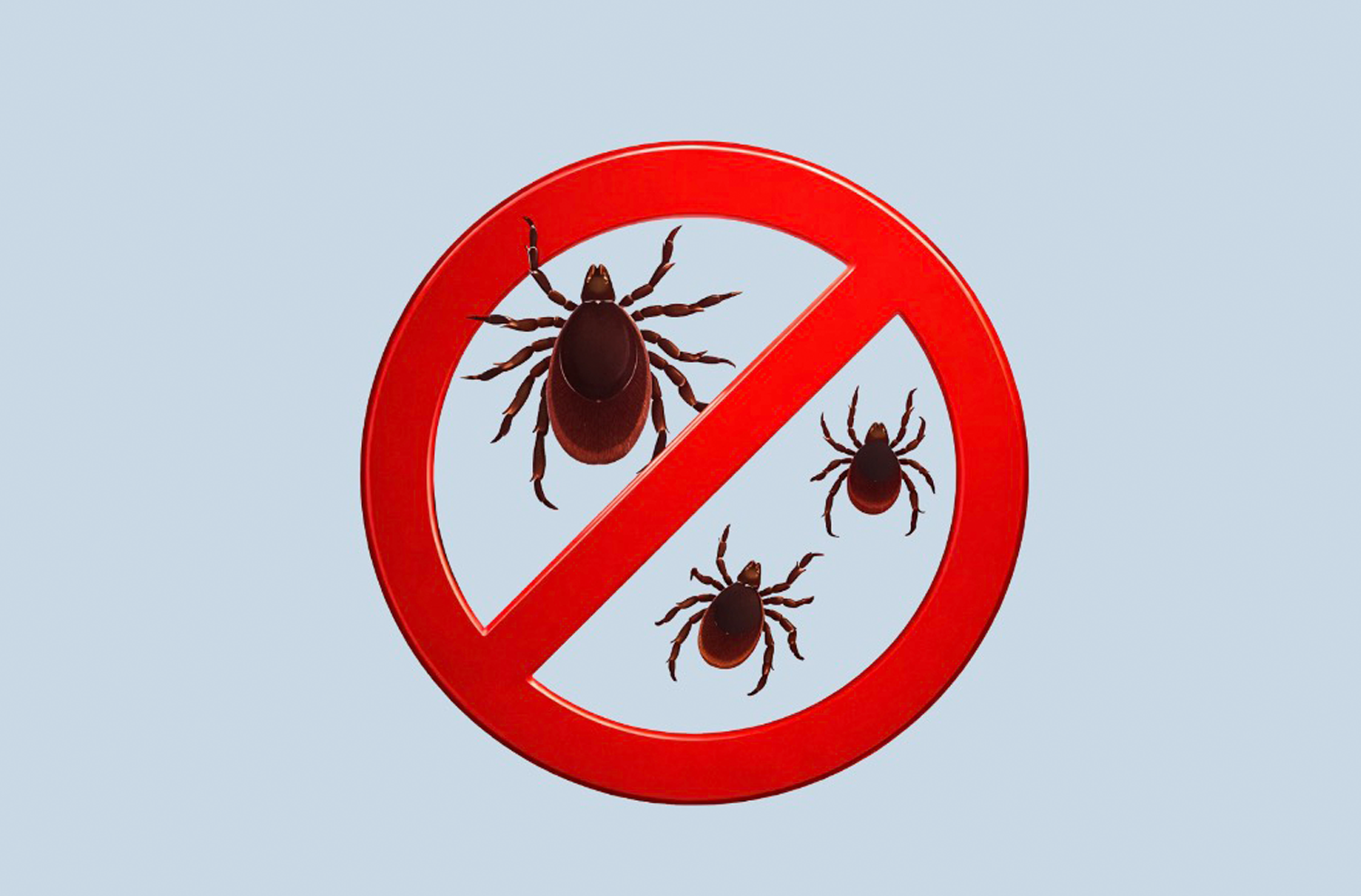 Поставьте прививку от клещевого энцефалита в ЕМЦ