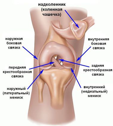 Что отмечают при разрыве внутренней боковой связки коленного сустава тест. Смотреть фото Что отмечают при разрыве внутренней боковой связки коленного сустава тест. Смотреть картинку Что отмечают при разрыве внутренней боковой связки коленного сустава тест. Картинка про Что отмечают при разрыве внутренней боковой связки коленного сустава тест. Фото Что отмечают при разрыве внутренней боковой связки коленного сустава тест
