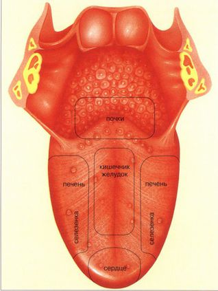 Язык При Гастрите Фото