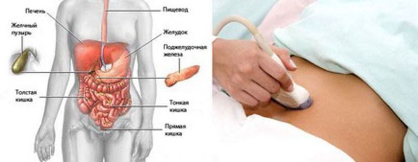 узи брюшной полости Екатеринбург