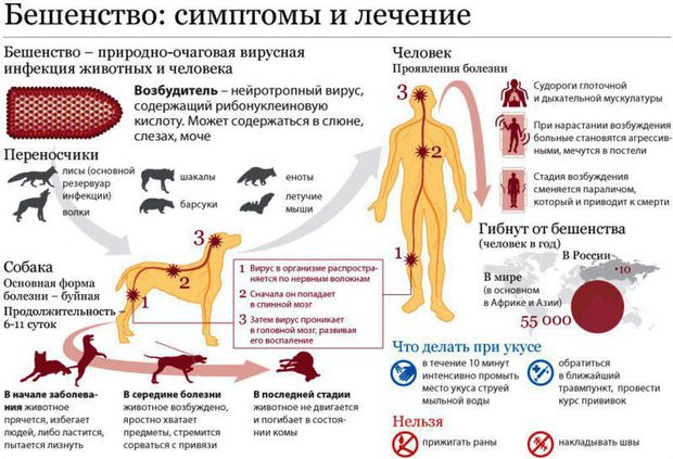 Бещенство